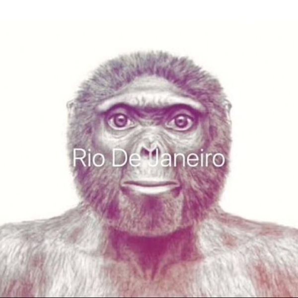 Fichier:Rio de janeiro.jpg